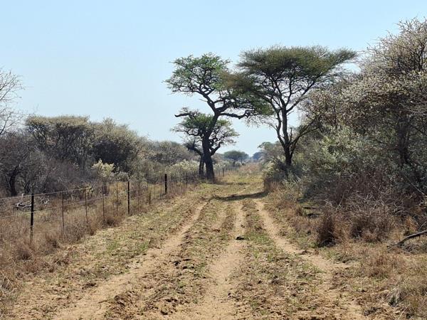 1 984 ha Farm