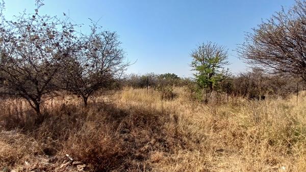 6.9 ha Land