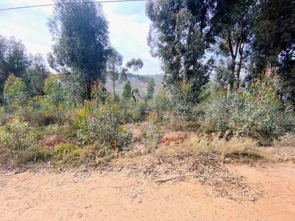 4 052 m² Land