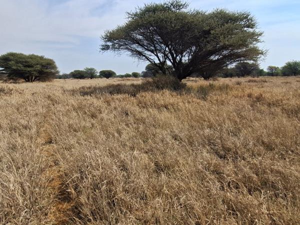 975.3 ha Farm
