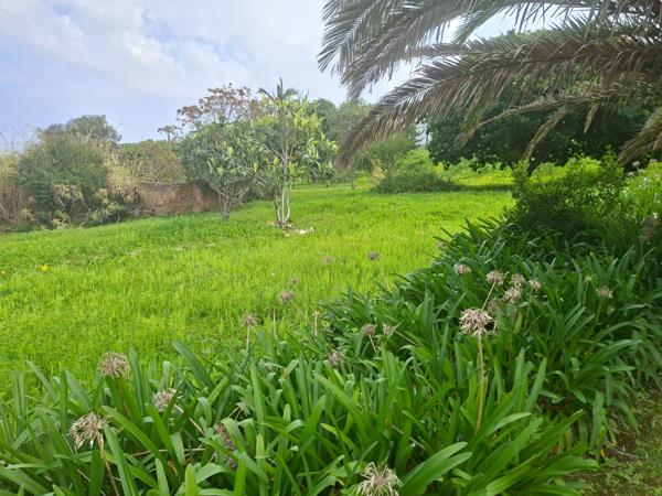 650 m² Land
