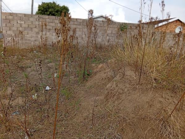 365 m² Land