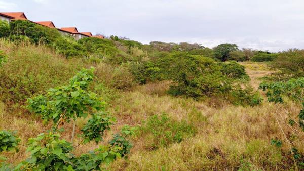 1.4 ha Land