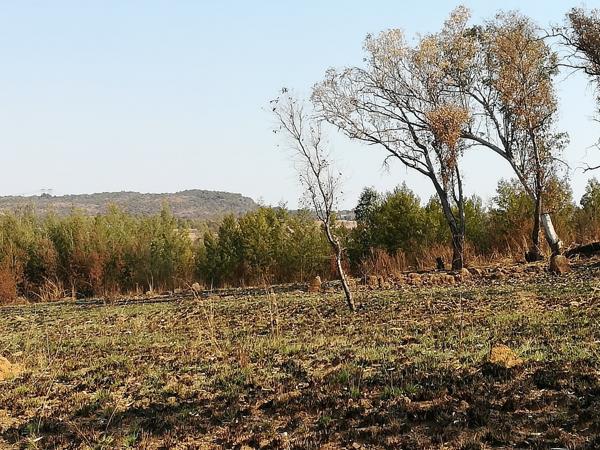 12 ha Land