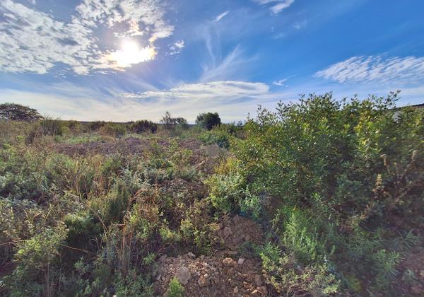 1 300 m² Land