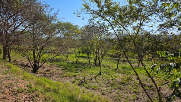 1 636 m² Land