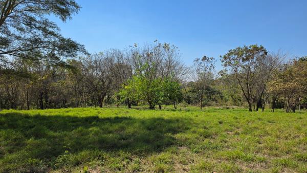 1 636 m² Land