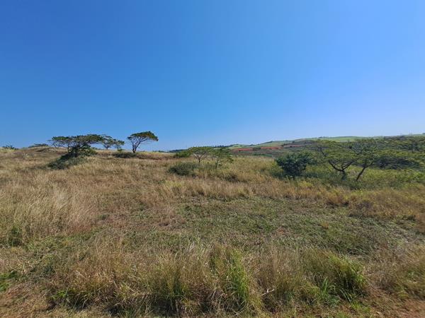 1 166 m² Land