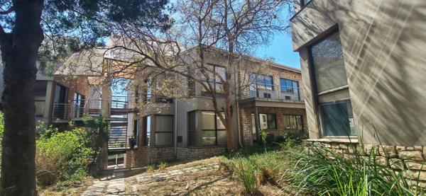 256 m² Office Space