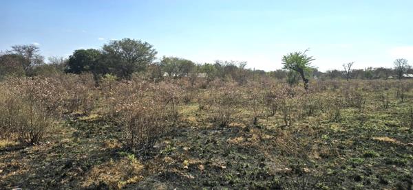 2 974 m² Land