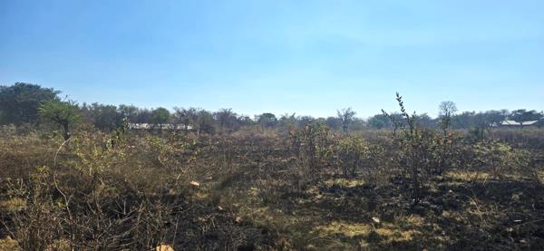 2 974 m² Land