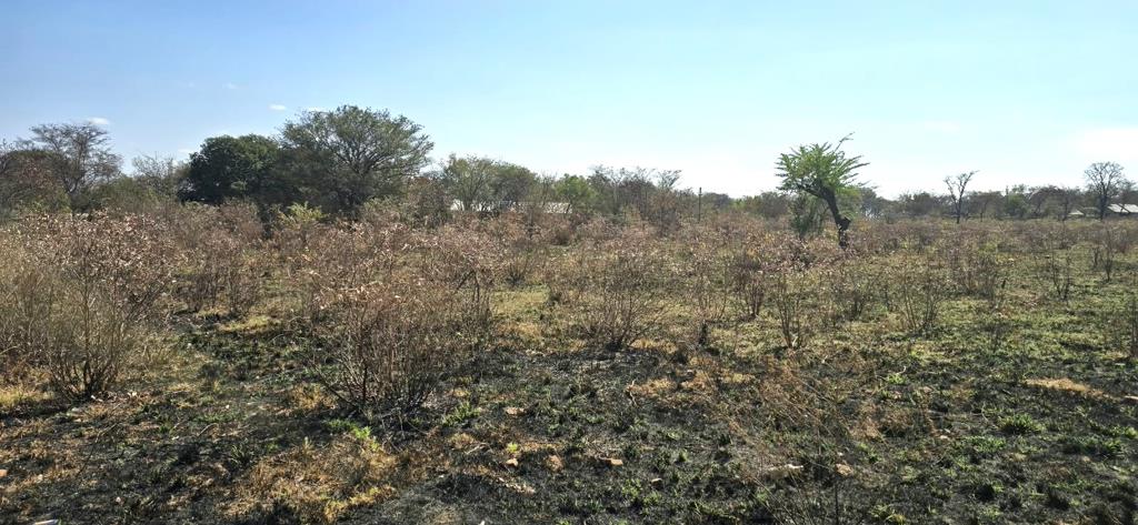 2 974 m² Land