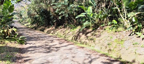 1 358 m² Land