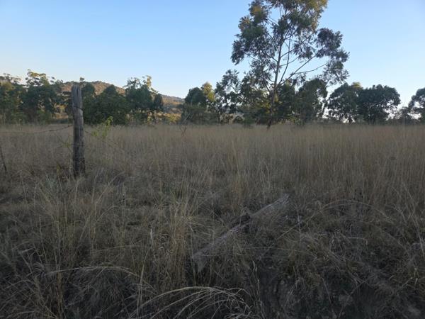 8.9 ha Land