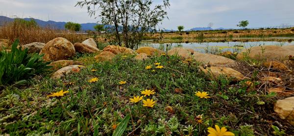 476 m² Land
