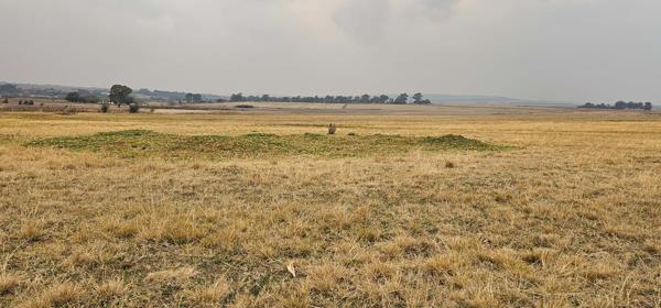 71 ha Land