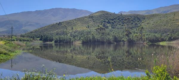 382 ha Commercial Farm