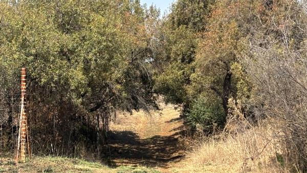 8.9 ha Land