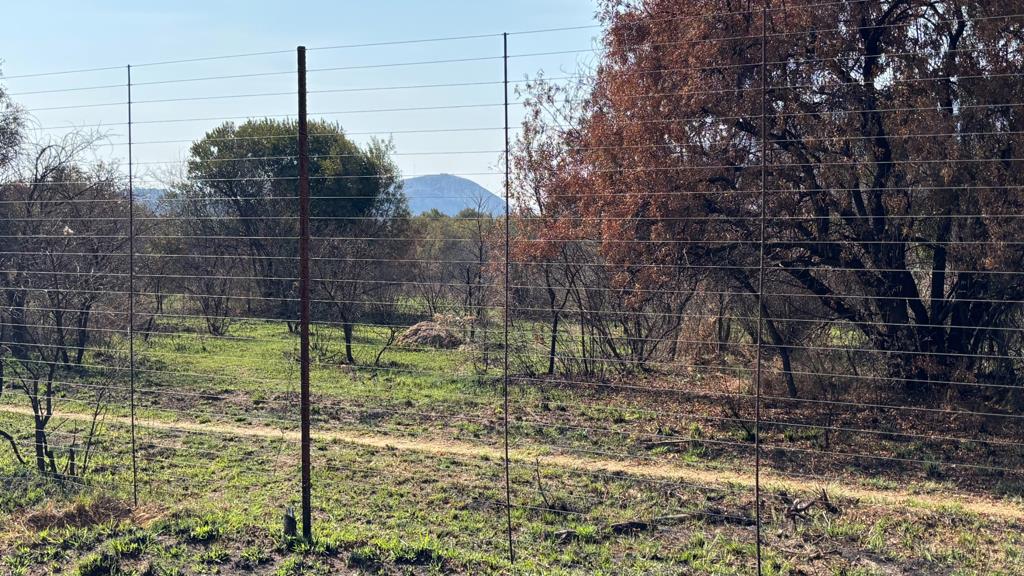 8.9 ha Land