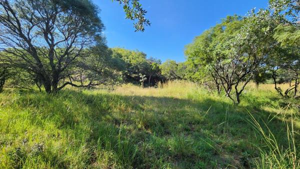 1.2 ha Land