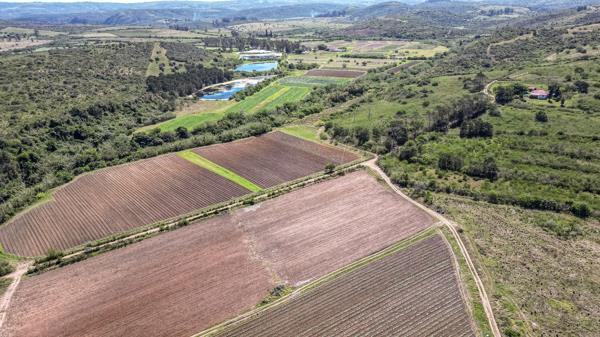 160.8 ha Farm