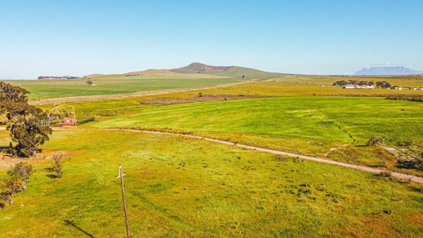 413 ha Land