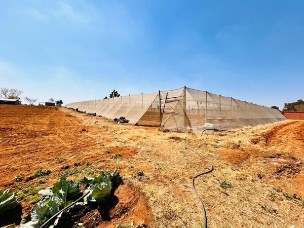 2 m² Farm