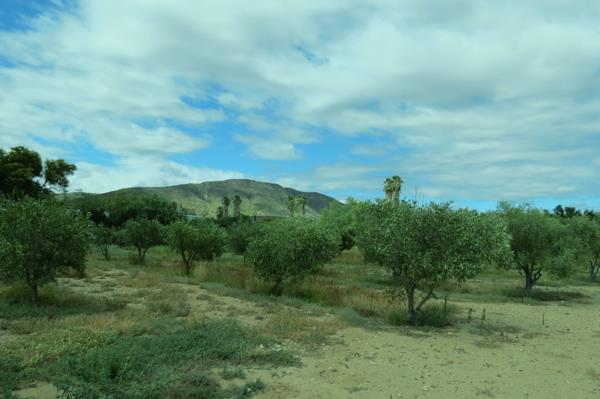 6 201 m² Land