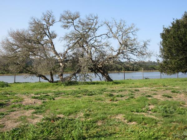 860 m² Land