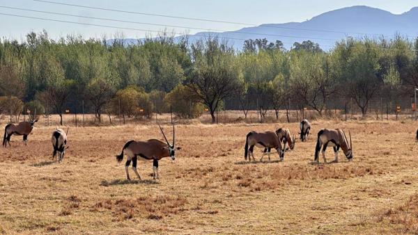 1 500 m² Land