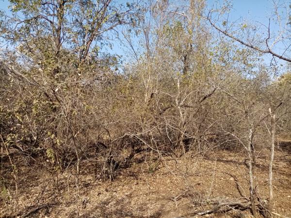 1 600 m² Land