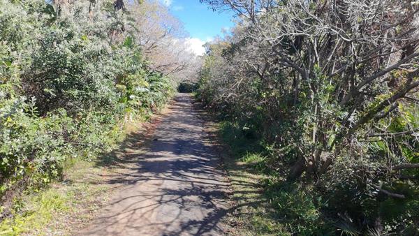 1 036 m² Land