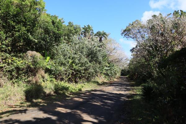 1 036 m² Land