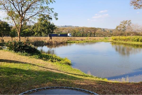 11 ha Farm