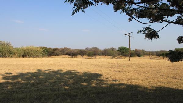 39 ha Farm