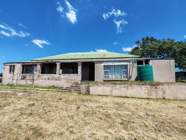 226.5 ha Farm