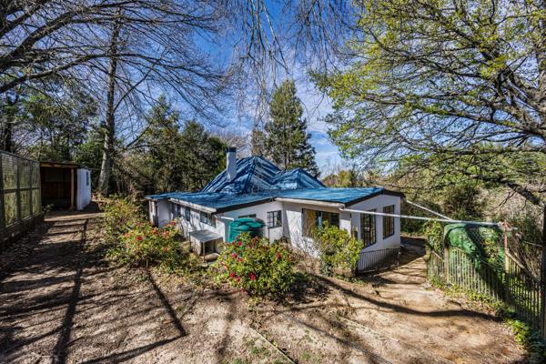 1.9 ha Smallholding