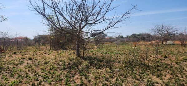 1 000 m² Land