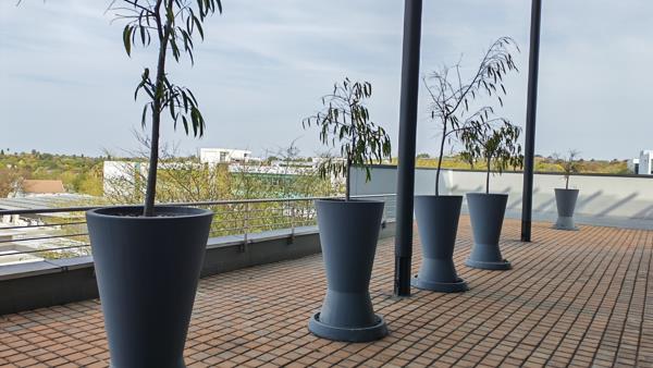 267 m² Office Space