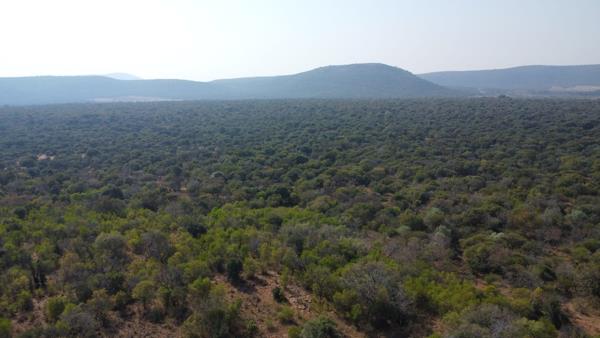 183 ha Farm