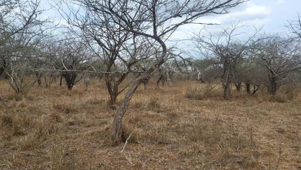 2 500 m² Land