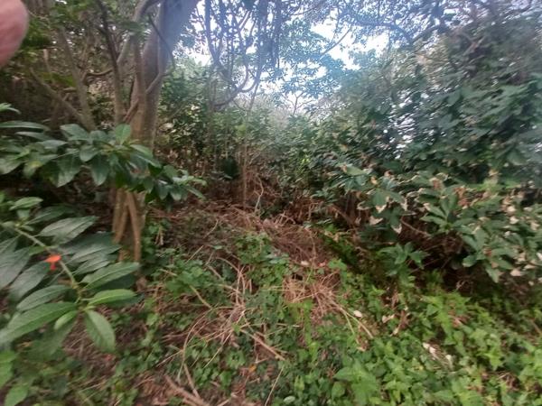 2 062 m² Land