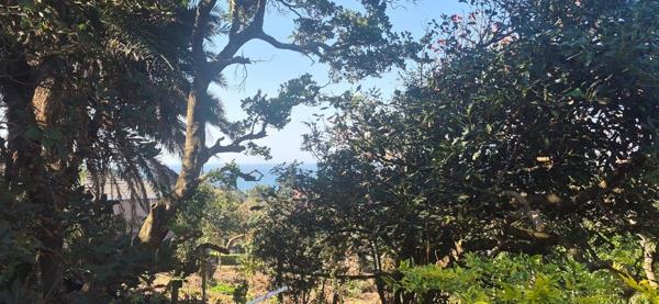 1 491 m² Land