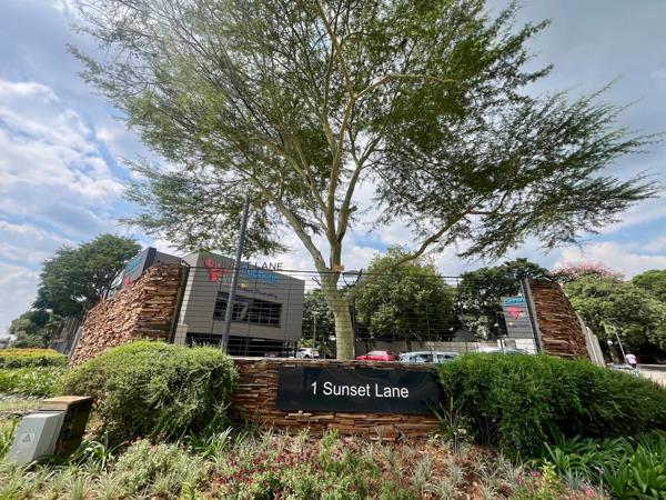 631 m² Commercial space