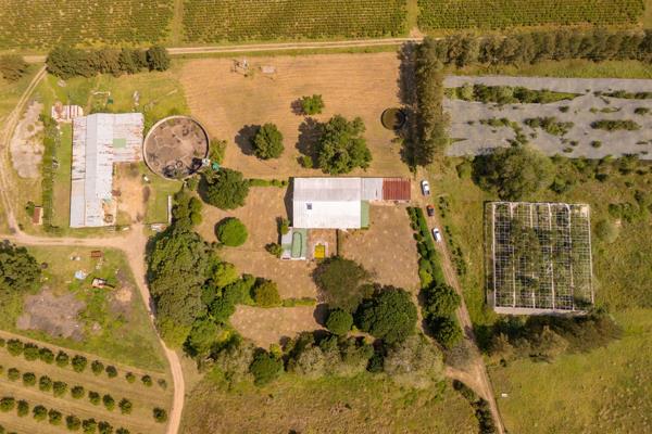 560 ha Farm