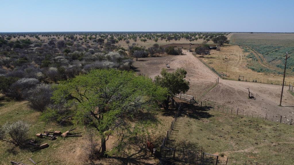 1 253 ha Agricultural Holding