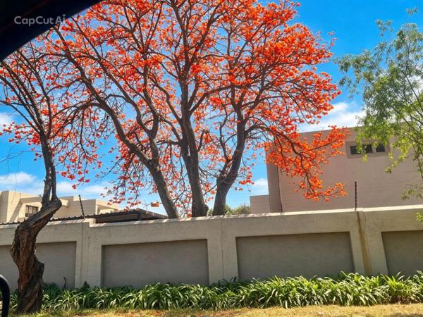 1 Bedroom Townhouse