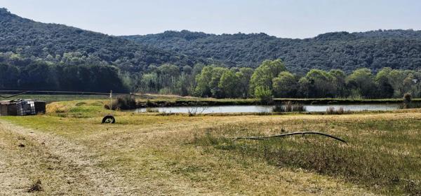 7 ha Land