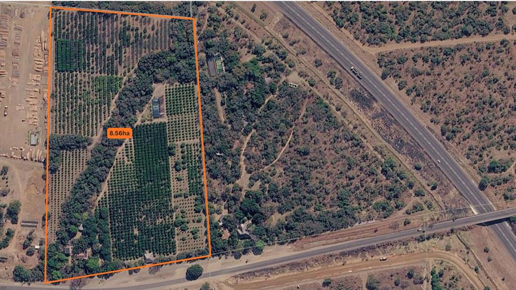 8.6 ha Smallholding