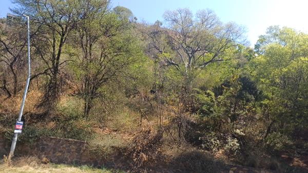 2 517 m² Land